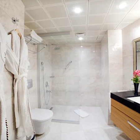 Hotel Mosaic Old -special Category Istanbul