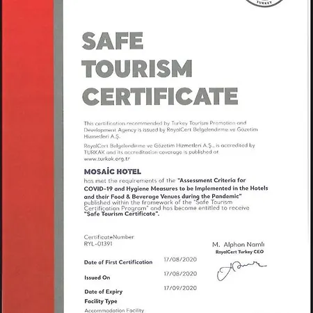 Mosaic Old -special Category Hotel 4*