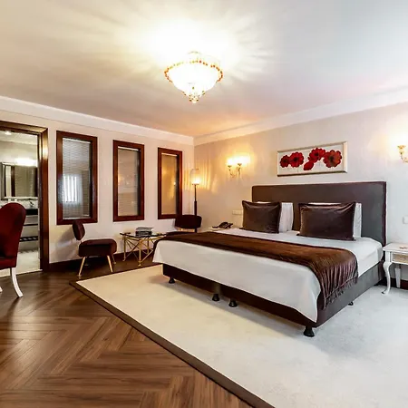 Hotel Mosaic Old -special Category Istanbul