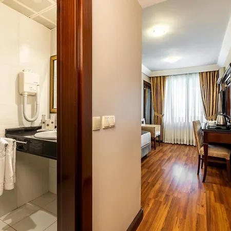 Mosaic Old -special Category Hotel 4*