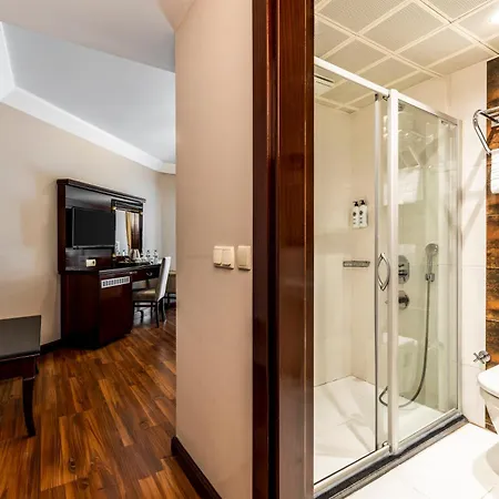 Hotel Mosaic Old -special Category Istanbul