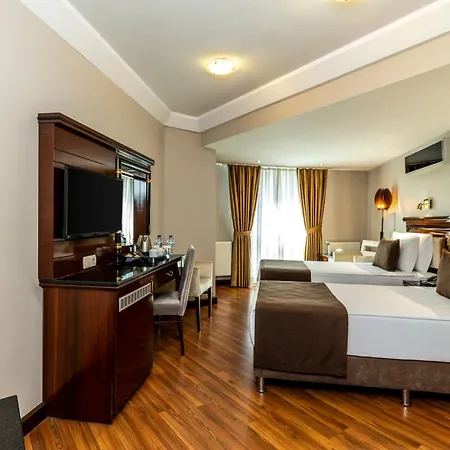 Mosaic Old -special Category Hotel Istanbul