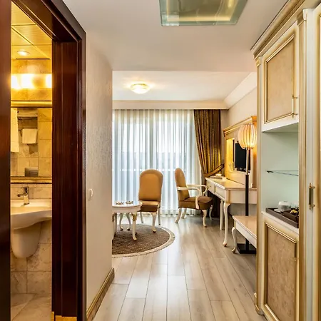 Hotel Mosaic Old -special Category
