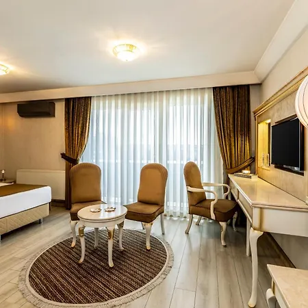 Mosaic Old -special Category Hotel