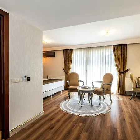 Hotel Mosaic Old -special Category Istanbul
