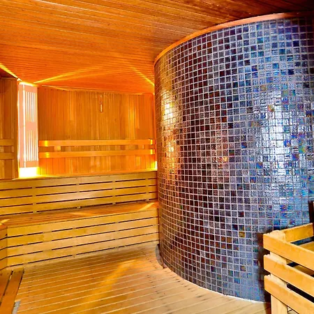 Mosaic Old -special Category Isztambul