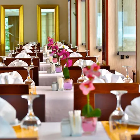 Mosaic Old -special Category