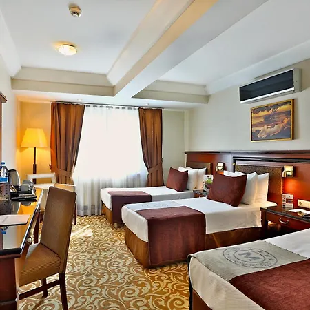 Mosaic Old -special Category Hotel